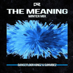 The Meaning (Winter Mix)