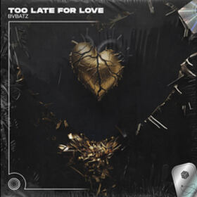 Too Late For Love