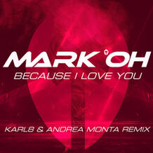 Because I Love You (Karl8 & Andrea Monta Remix)