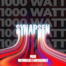 Synapsen 1000 Watt