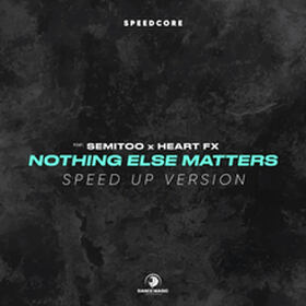 Nothing Else Matters (Speed Up Version)