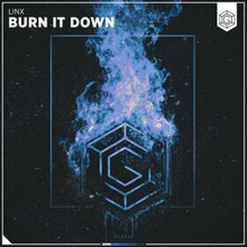 Burn It Down
