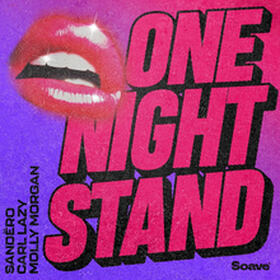 One Night Stand