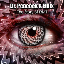 The Story Of DMT