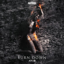 Burn Down