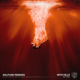 Solitude (Remixes)